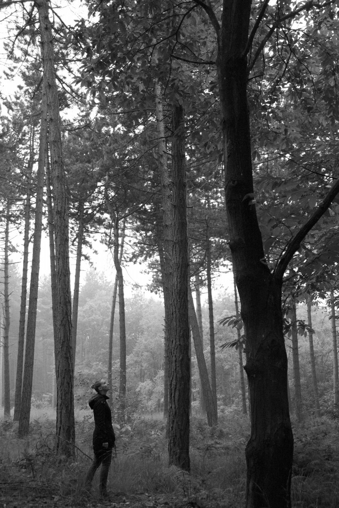 Esther Wagensveld - natuurfotografie