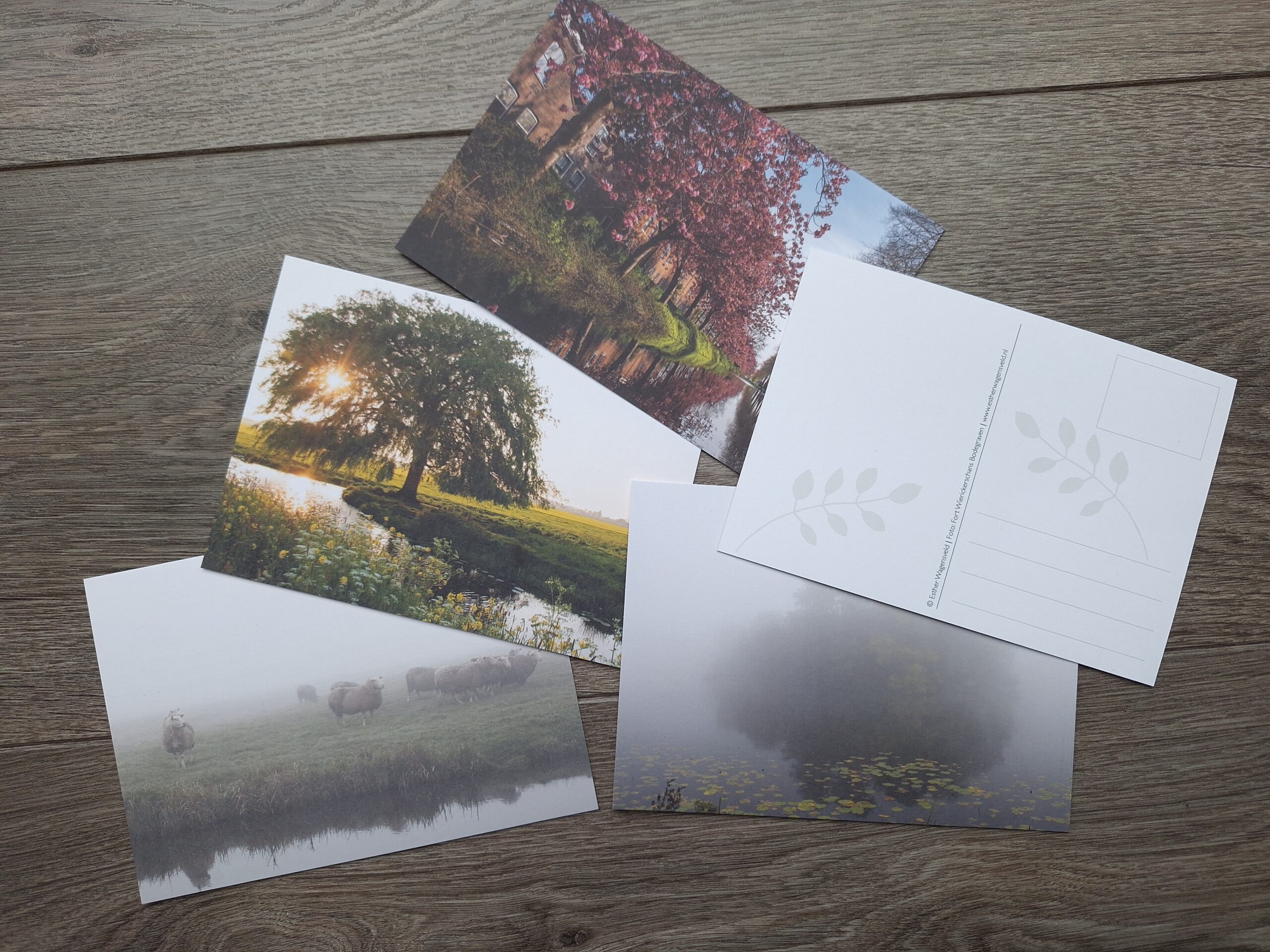 Ansichtkaarten natuurfoto’s